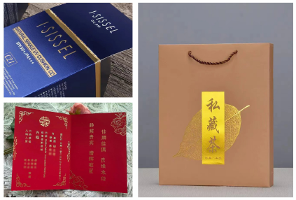 آلة ختم الرقائق الساخنة الأوتوماتيكية PRY-95 مع سيرفو 6